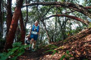 BIB: 
                            <button type="button" onclick="openModal(26345857)" class="btn btn-primary btn-sm float-right btn-popup" data-toggle="modal" data-target=".modal-high-quality">
                        <i class="fas fa-shopping-cart"></i> Add to Cart
                    </button>
                                            <button type="button" onclick="isThisMe(26345857, true)" class="btn btn-success btn-sm float-right btn-popup btn-isme hidden" data-toggle="tooltip" data-placement="bottom" title="นี่คือรูปของคุณใช่ไหม คลิกที่นี่เพื่อเอาเข้าอัลบั้ม">
                        <i class="fas fa-plus"></i> Add to album
                    </button>
                    <button type="button" onclick="isThisMe(26345857, false)" class="btn btn-warning btn-sm float-right btn-popup btn-isnotme hidden">
                        <i class="fas fa-ban"></i> Remove from album
                    </button>